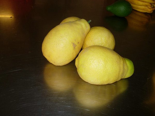 limon-pera (01).JPG