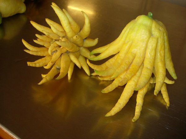 frutas frutas