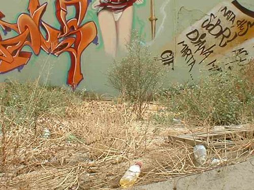 Graffiti 022.jpg