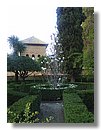 jardines-alhambra (25).JPG