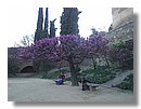 jardines-alhambra (28).JPG