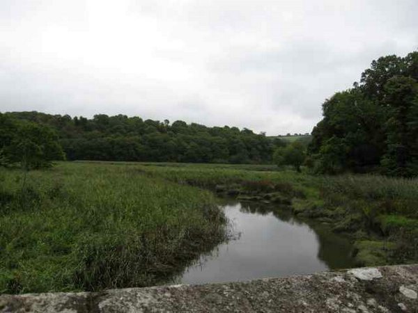 cotehele 033.jpg