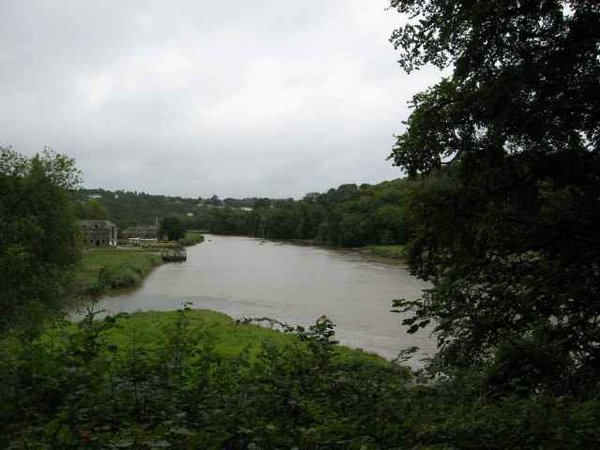 cotehele 035.jpg