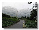 eden-project 046.jpg