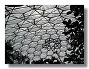 eden-project 051.jpg