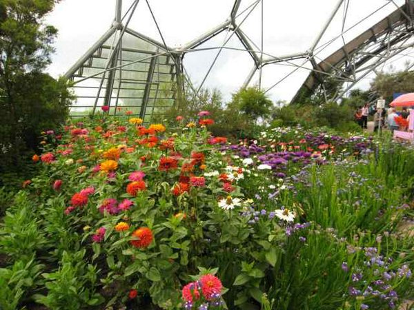 eden-project 069.jpg