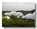 eden-project 011.jpg