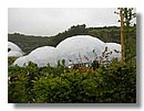 eden-project 012.jpg