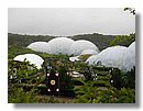 eden-project 013.jpg