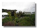 eden-project 028.jpg