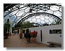 eden-project 062.jpg