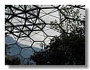 eden-project 065.jpg