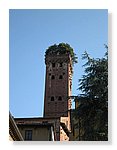 Lucca (50).JPG