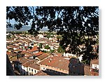 Lucca (73).JPG