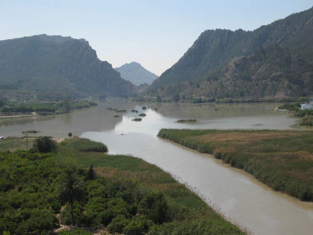 River near ricote