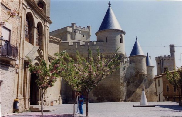 Castillo-de-Olite