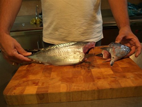 conserva-de-pescado (00).JPG