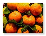 Naranjas.jpg