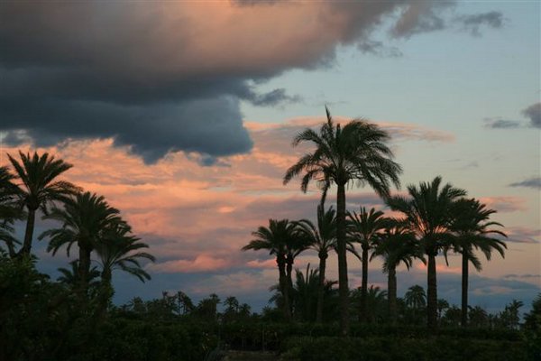 Atardecer (01).JPG