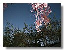 La-aurora-(02).jpg