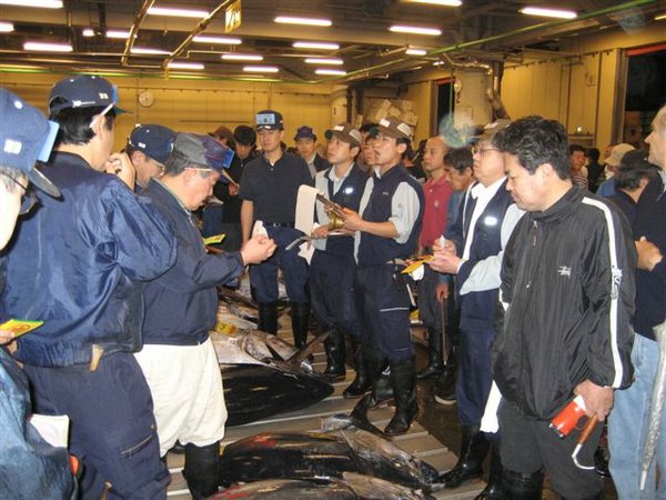 Tsukiji-Fish-Market (06).jpg
