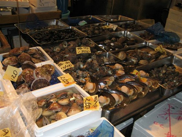 Tsukiji-Fish-Market (07).jpg
