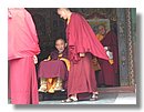 Nepal-(22)homenaje-a-uno-de-los-mas-viejos-lamas.jpg