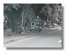 Jeepneys-Triciclos (21).jpg