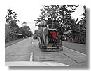 Jeepneys-Triciclos (33).jpg