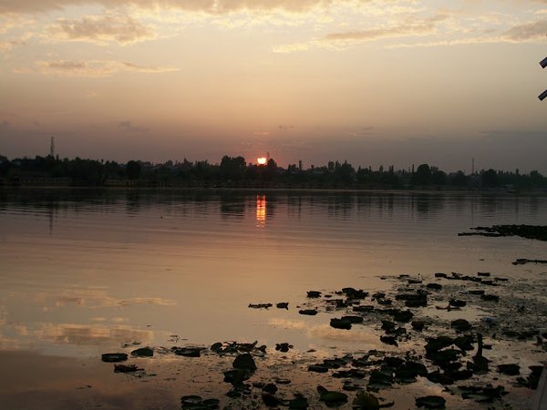 Srinagar-Dal-Lake (21).JPG