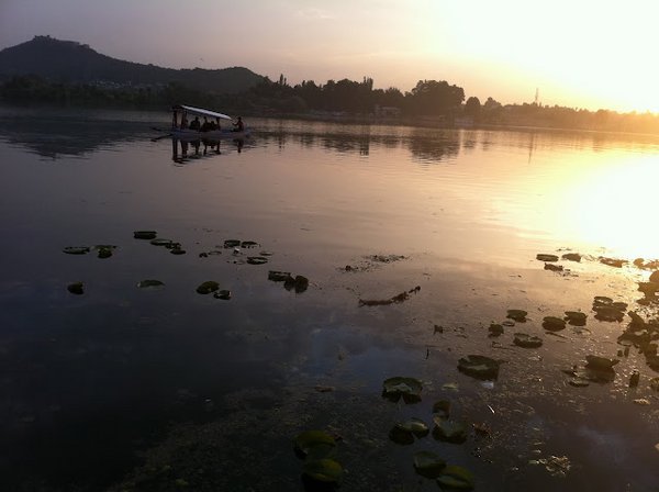 Srinagar-Dal-Lake (31).JPG