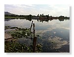 Srinagar-Dal-Lake (16).JPG
