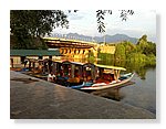 Srinagar-Dal-Lake (23).JPG