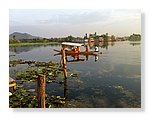 Srinagar-Dal-Lake (28).JPG