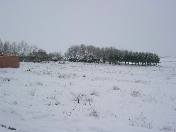 Ciudad-Real-nieve (00).jpg