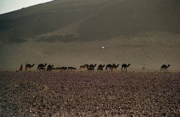 Desierto-de-Marruecos (03).jpg