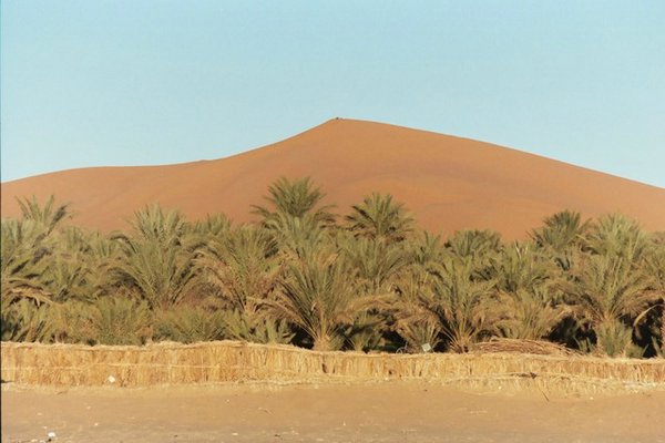 Desierto-de-Marruecos (40).jpg