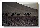 Desierto-de-Marruecos (02).jpg