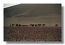 Desierto-de-Marruecos (03).jpg