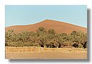 Desierto-de-Marruecos (40).jpg