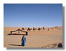 Desierto-de-Marruecos (50).jpg