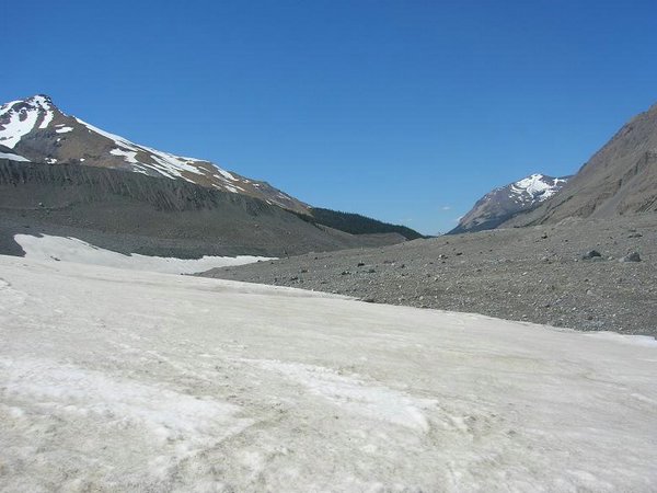 Columbia-Icefields (02).jpg