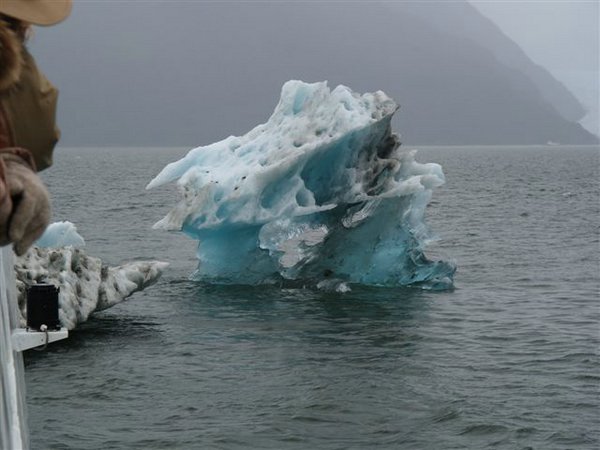 Glaciares-de-la-patagonia (01).jpg