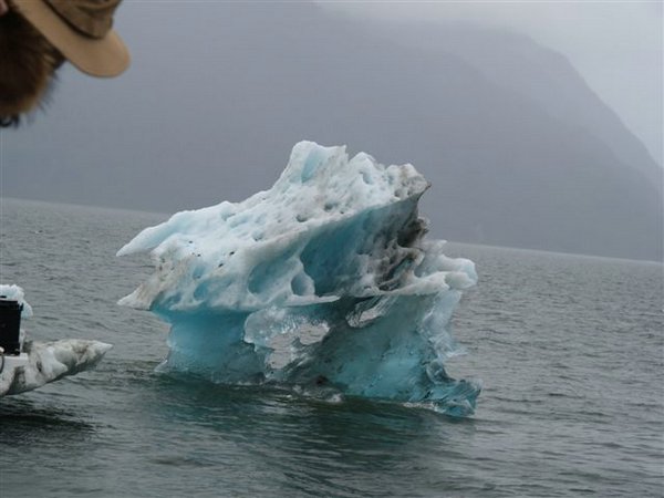 Glaciares-de-la-patagonia (02).jpg