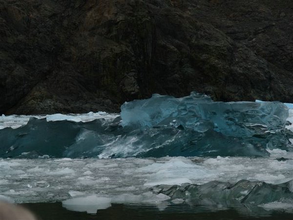 Glaciares-de-la-patagonia (101).JPG