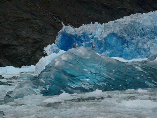 Glaciares-de-la-patagonia (102).JPG