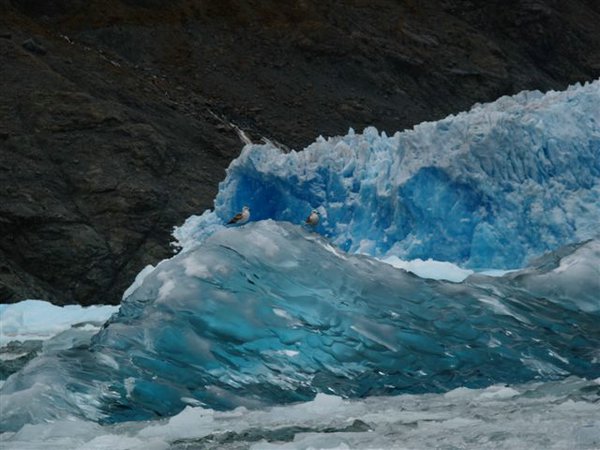 Glaciares-de-la-patagonia (104).JPG
