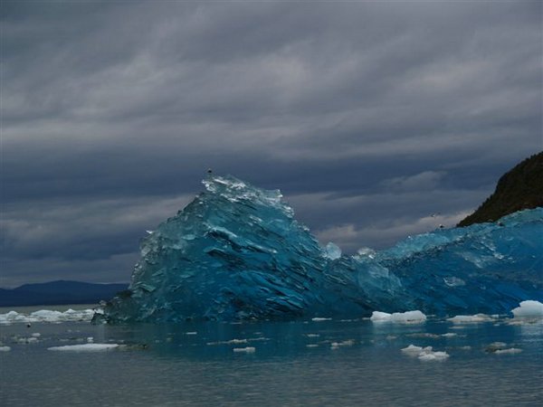 Glaciares-de-la-patagonia (109).JPG