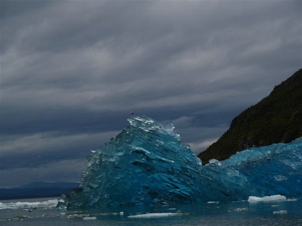 Glaciares-de-la-patagonia (110).JPG