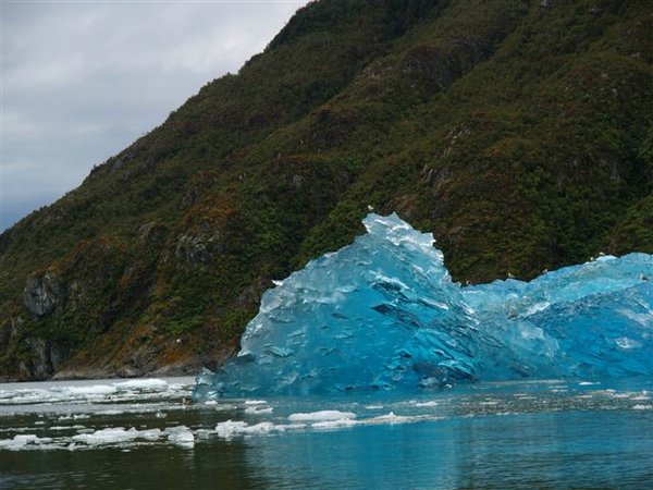 Glaciares-de-la-patagonia (111).JPG